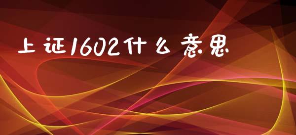 上证1602什么意思_https://cj002.lansai.wang_股市问答_第1张