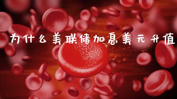 为什么美联储加息美元升值_理财问答_第1张_财经百问网 为什么美联储加息美元升值_https://cj002.lansai.wang_理财问答_第1张