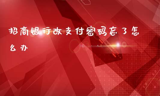 招商银行改支付密码忘了怎么办_https://cj002.lansai.wang_金融问答_第1张