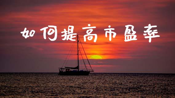 如何提高市盈率_https://cj002.lansai.wang_理财问答_第1张