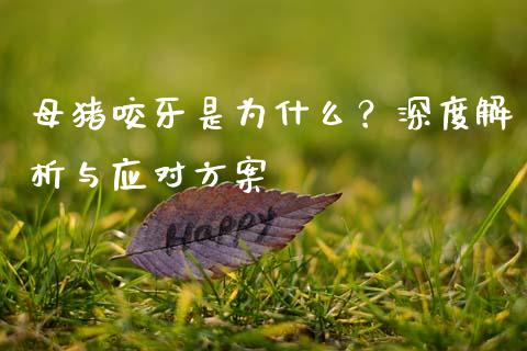 母猪咬牙是为什么?深度解析与应对方案_会计问答_第1张_财经百问网 母猪咬牙是为什么?深度解析与应对方案_https://cj002.lansai.wang_会计问答_第1张
