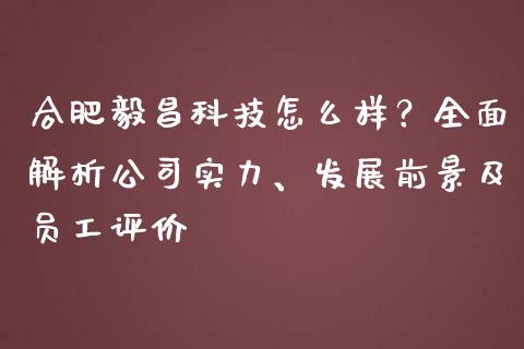 合肥毅昌科技怎么样？全面解析公司实力、发展前景及员工评价_https://cj002.lansai.wang_理财问答_第1张