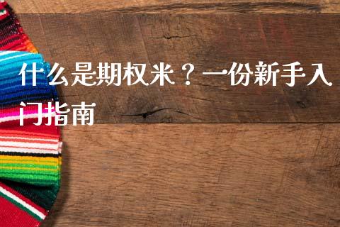 什么是期权米？一份新手入门指南_https://cj002.lansai.wang_股市问答_第1张