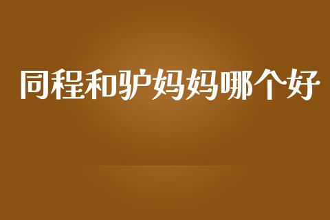 同程和驴妈妈哪个好_https://cj002.lansai.wang_财经百问_第1张