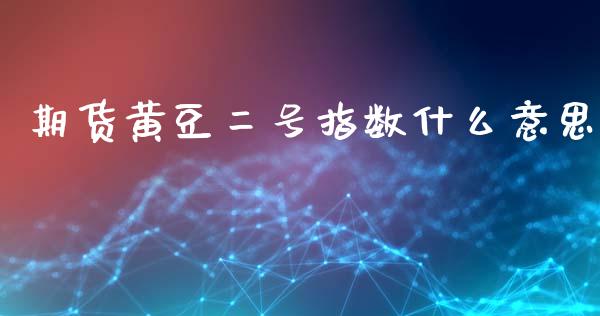 期货黄豆二号指数什么意思_https://cj002.lansai.wang_会计问答_第1张