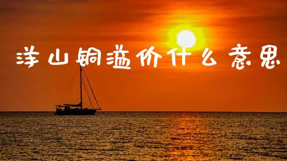 洋山铜溢价什么意思_财经百问_第1张_财经百问网 洋山铜溢价什么意思_https://cj002.lansai.wang_财经百问_第1张