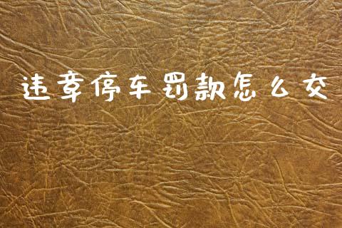 违章停车罚款怎么交_https://cj002.lansai.wang_保险问答_第1张