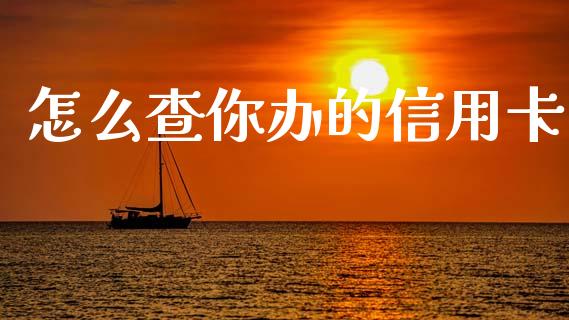 怎么查你办的信用卡_https://cj002.lansai.wang_金融问答_第1张