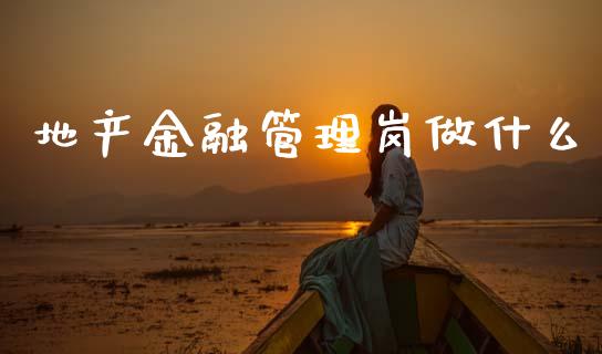 地产金融管理岗做什么_https://cj002.lansai.wang_金融问答_第1张