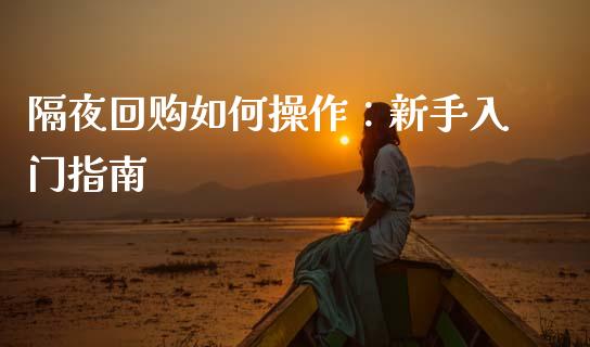 隔夜回购如何操作：新手入门指南_https://cj002.lansai.wang_会计问答_第1张