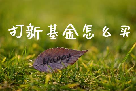 打新基金怎么买_https://cj002.lansai.wang_理财问答_第1张