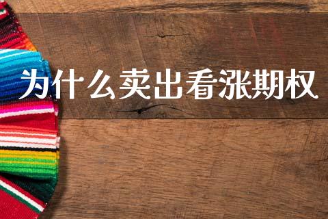 为什么卖出看涨期权_https://cj002.lansai.wang_股市问答_第1张