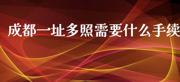 成都一址多照需要什么手续_https://cj002.lansai.wang_理财问答_第1张