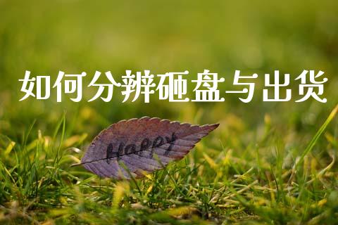 如何分辨砸盘与出货_https://cj002.lansai.wang_会计问答_第1张