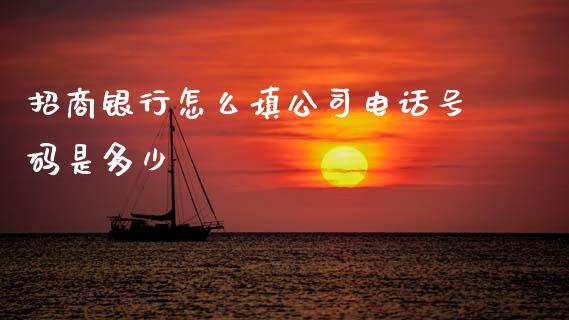 招商银行怎么填公司电话号码是多少_https://cj002.lansai.wang_金融问答_第1张