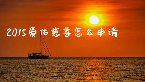 2015爱佑慈善怎么申请_https://cj002.lansai.wang_股市问答_第1张