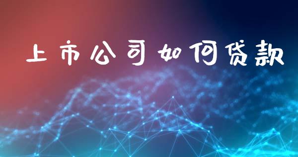 上市公司如何贷款_https://cj002.lansai.wang_理财问答_第1张