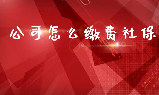 公司怎么缴费社保_https://cj002.lansai.wang_保险问答_第1张