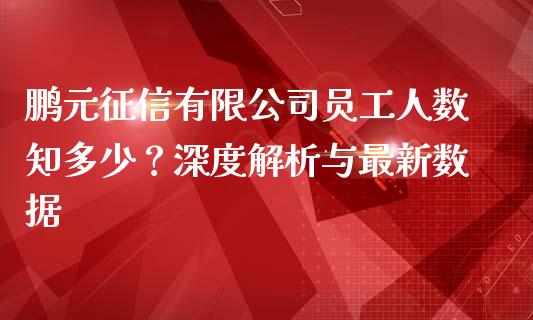 鹏元征信有限公司员工人数知多少？深度解析与最新数据_https://cj002.lansai.wang_期货问答_第1张