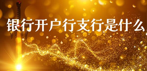 银行开户行支行是什么_https://cj002.lansai.wang_理财问答_第1张