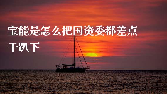 宝能是怎么把国资委都差点干趴下_https://cj002.lansai.wang_会计问答_第1张