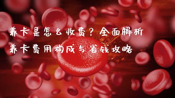 养卡是怎么收费？全面解析养卡费用构成与省钱攻略_https://cj002.lansai.wang_财经问答_第1张
