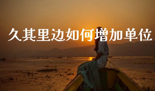 久其里边如何增加单位_https://cj002.lansai.wang_股市问答_第1张