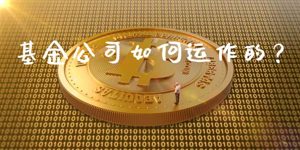 基金公司如何运作的？_https://cj002.lansai.wang_理财问答_第1张