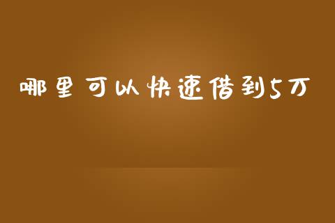 哪里可以快速借到5万_https://cj002.lansai.wang_保险问答_第1张