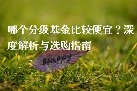 哪个分级基金比较便宜？深度解析与选购指南_https://cj002.lansai.wang_股市问答_第1张