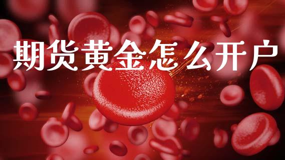 期货黄金怎么开户_https://cj002.lansai.wang_期货问答_第1张