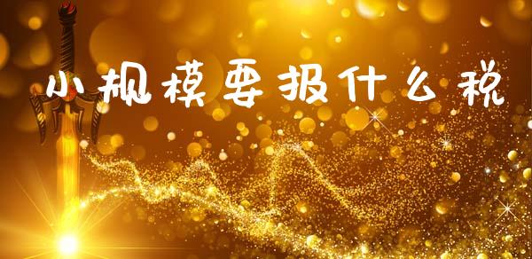 小规模要报什么税_https://cj002.lansai.wang_会计问答_第1张