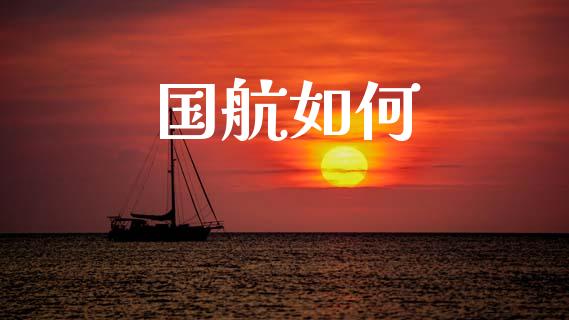 国航如何_https://cj002.lansai.wang_理财问答_第1张