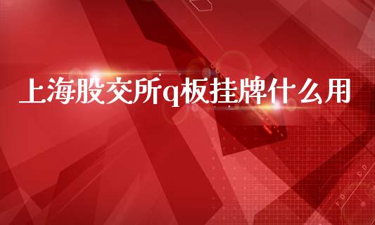 上海股交所q板挂牌什么用_https://cj002.lansai.wang_财经问答_第1张