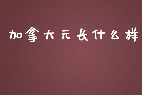 加拿大元长什么样_https://cj002.lansai.wang_财经问答_第1张