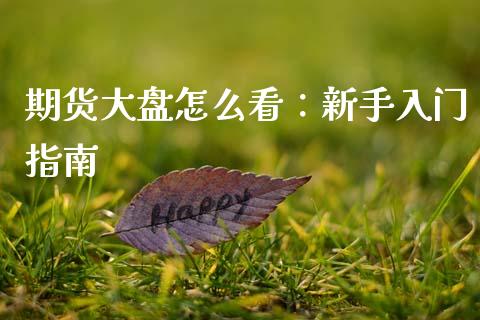 期货大盘怎么看：新手入门指南_https://cj002.lansai.wang_财经百问_第1张
