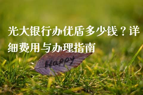 光大银行办优盾多少钱？详细费用与办理指南_https://cj002.lansai.wang_财经问答_第1张