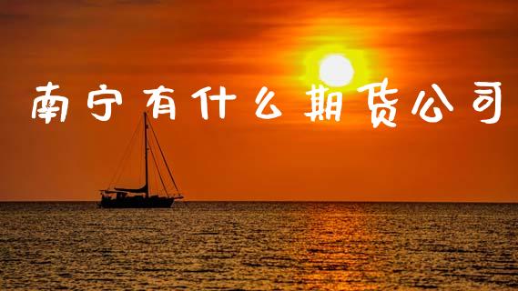 南宁有什么期货公司_https://cj002.lansai.wang_期货问答_第1张