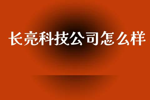 长亮科技公司怎么样_https://cj002.lansai.wang_理财问答_第1张