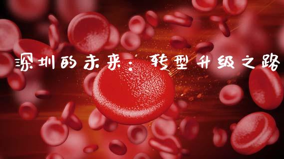 深圳的未来：转型升级之路_https://cj002.lansai.wang_金融问答_第1张