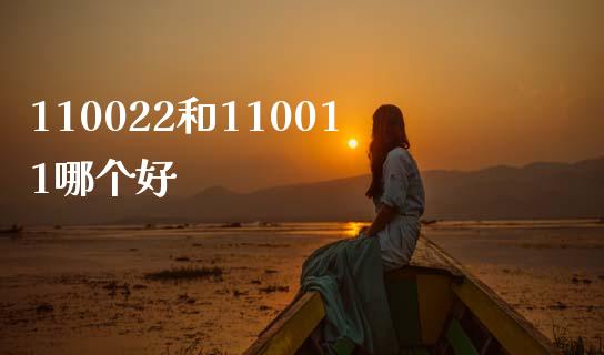 110022和110011哪个好_https://cj002.lansai.wang_股市问答_第1张