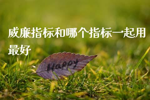 威廉指标和哪个指标一起用最好_https://cj002.lansai.wang_财经问答_第1张