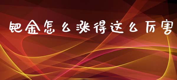 钯金怎么涨得这么厉害_https://cj002.lansai.wang_期货问答_第1张