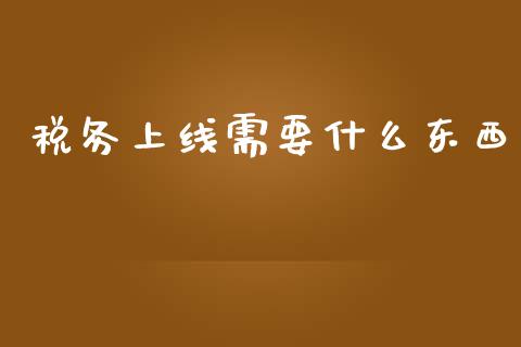 税务上线需要什么东西_https://cj002.lansai.wang_会计问答_第1张