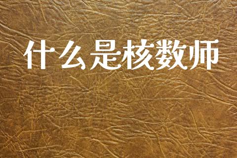 什么是核数师_https://cj002.lansai.wang_财经百问_第1张