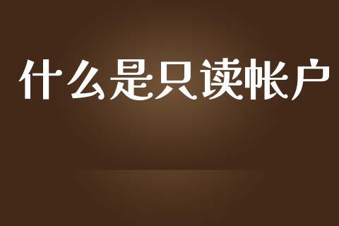 什么是只读帐户_https://cj002.lansai.wang_财经问答_第1张