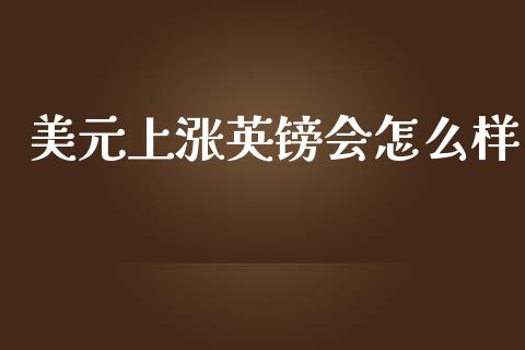 美元上涨英镑会怎么样_https://cj002.lansai.wang_期货问答_第1张