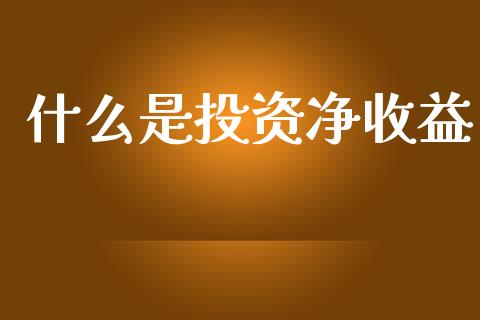 什么是投资净收益_https://cj002.lansai.wang_会计问答_第1张