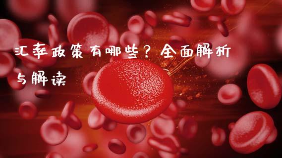 汇率政策有哪些？全面解析与解读_https://cj002.lansai.wang_财经问答_第1张