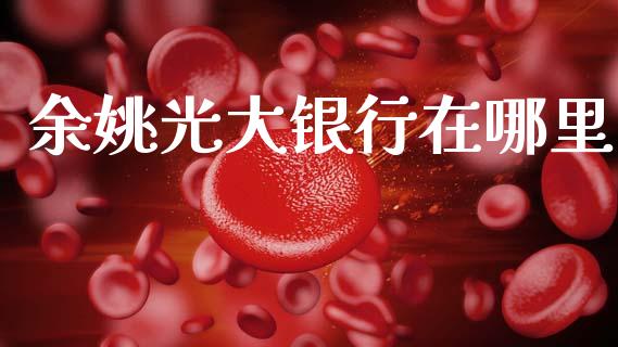 余姚光大银行在哪里_https://cj002.lansai.wang_理财问答_第1张
